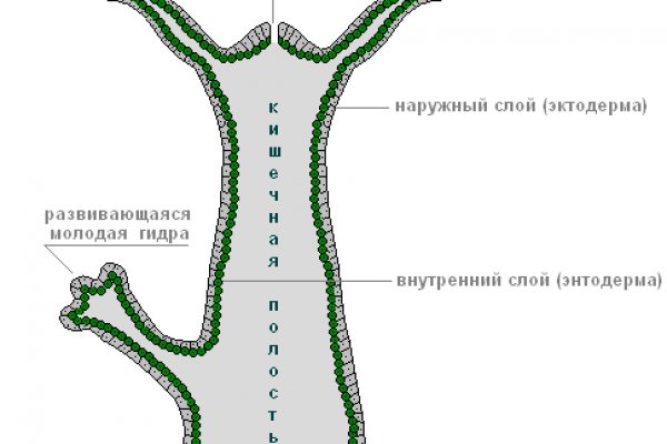 Kra41.at Вход на сайт главная страница