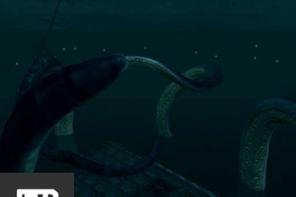 Kraken 22 аt