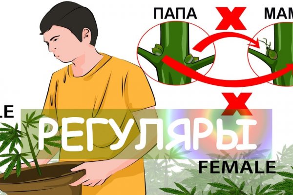 Магазин даркнета