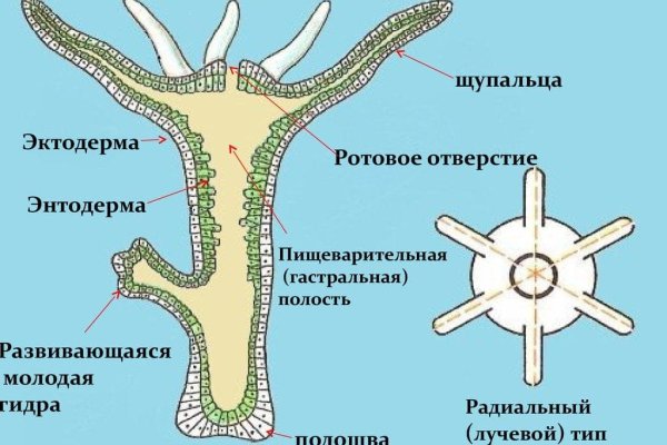 Кракен ссылка на сайт