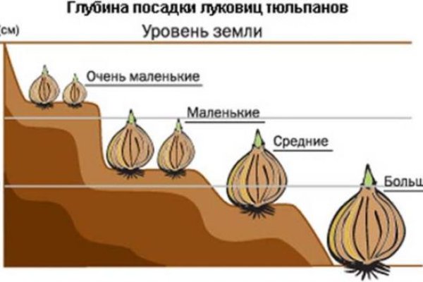 Активная ссылка на кракен