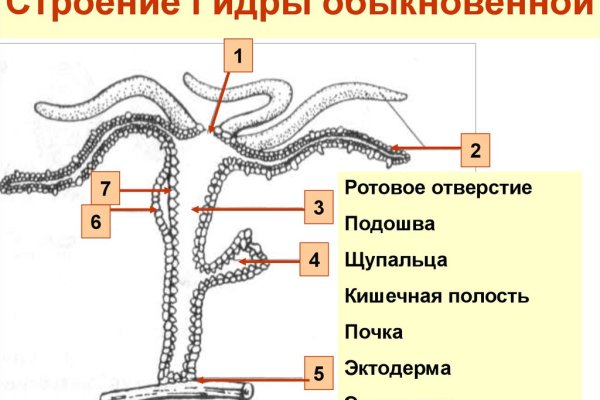 Кракен наркоплейс