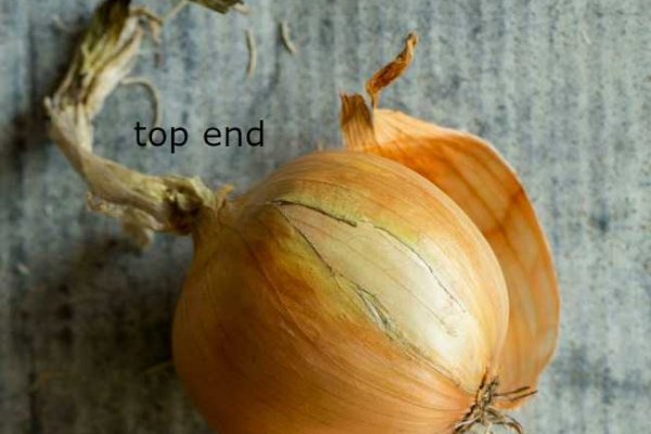 Kraken onion link
