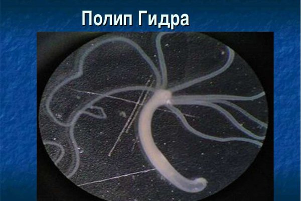 Clear ссылка на кракен