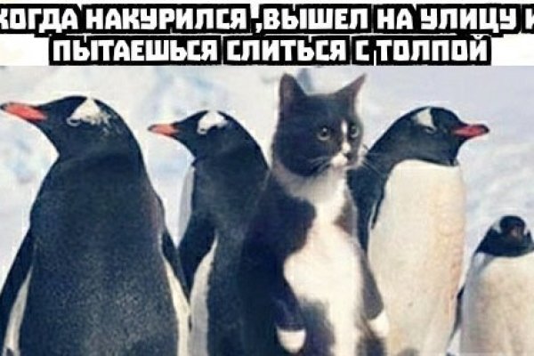 Кракен ссылка тор браузер