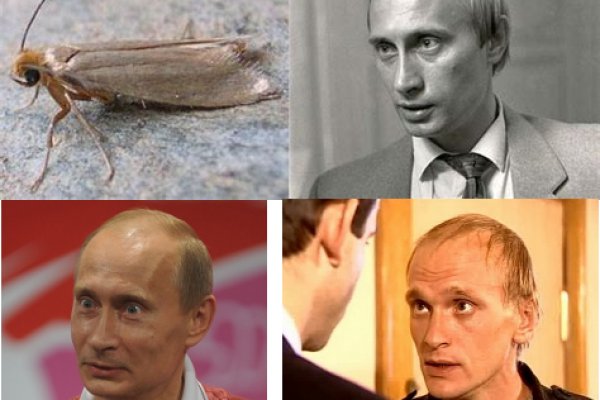 Кракен даркнет скачать