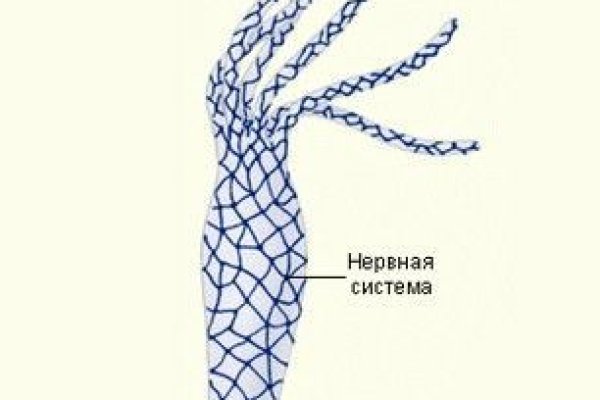 Кракен даркнет маркет ссылка тор