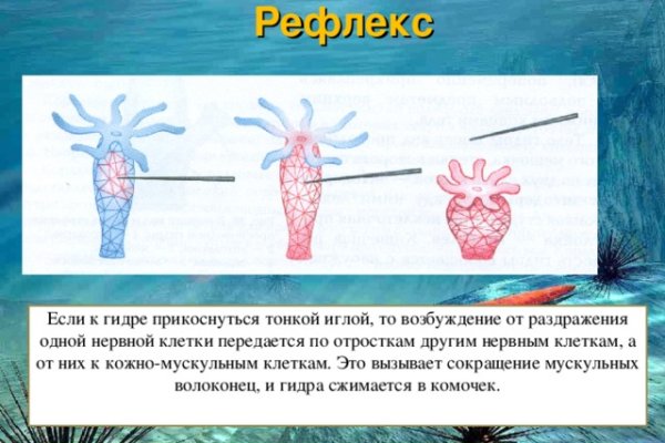 Кракен даркнет плейс